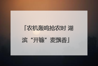 农机轰鸣抢农时 湖滨“开镰”麦飘香